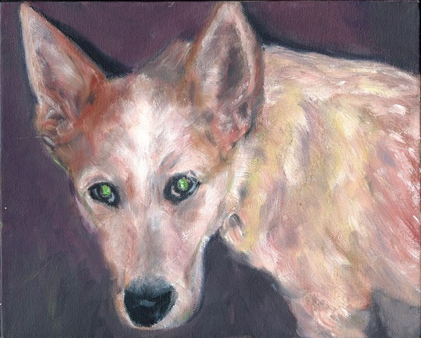 Soulful dog painted by Paula Schiller