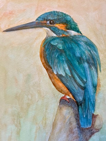 Kingfisher