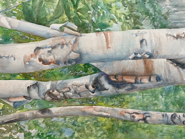 Bethany's Birches