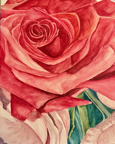 Keri's Roses