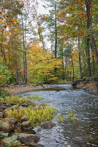 Brook in the Fall