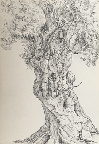 Old Olive Tree