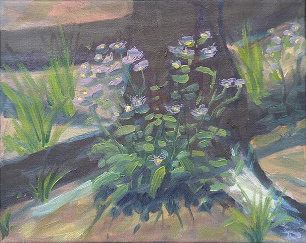 Purple Blooms