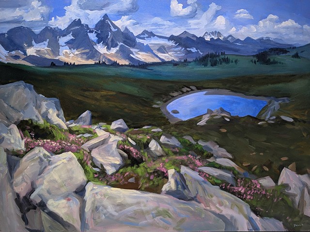 Purcell Valley Rock Fields