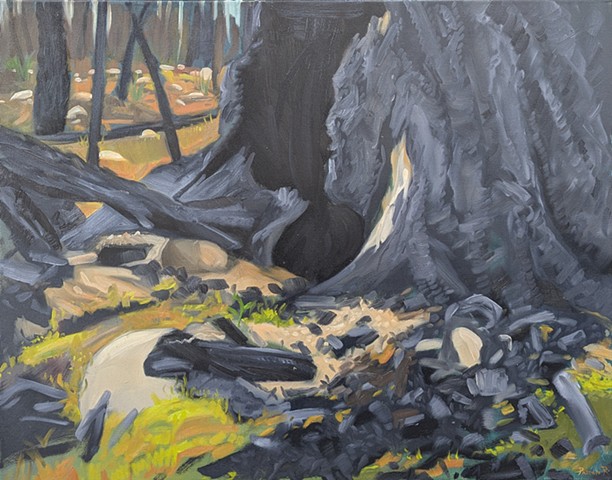Hollow Stump by Lake Annette