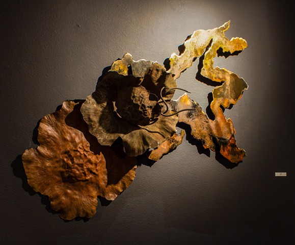 Sown Beneath the Shallows