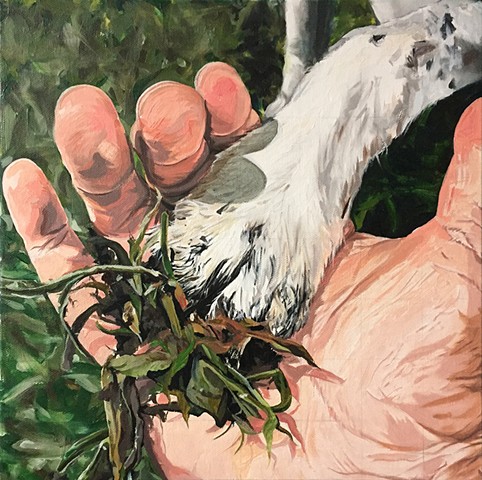 Paintings