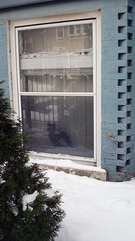 black cat in the blue framed brick