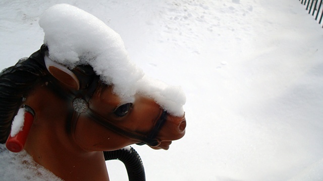 snowy toy horse