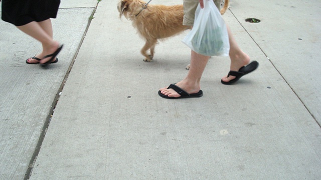 from sixteen minutes in logan square