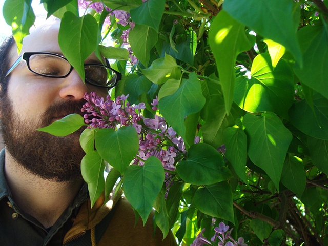 rory and the lilacs