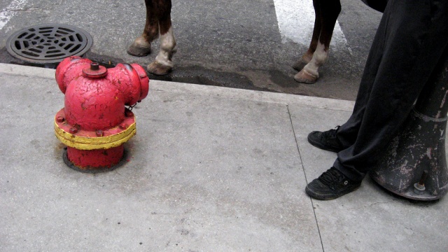 even fire hydrants have limbs