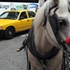 horse and cab
