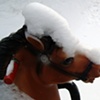 snowy toy horse