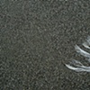 untitled (feathers on the beach)