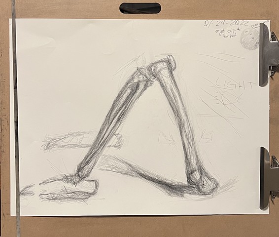 Tibia, Fibula, Femur