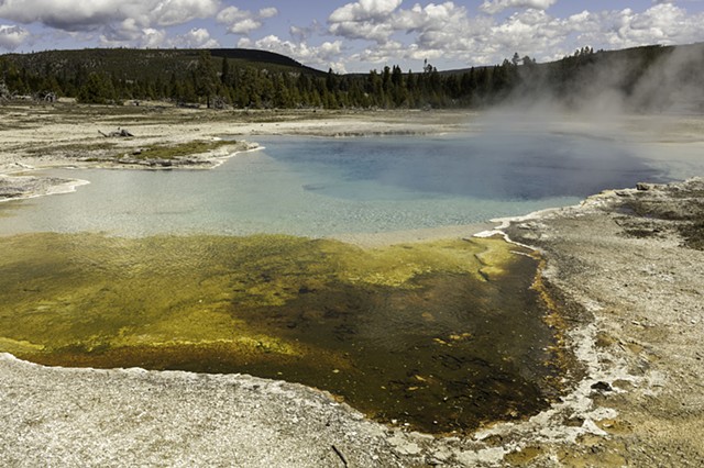 Pools in Biscuit Basin