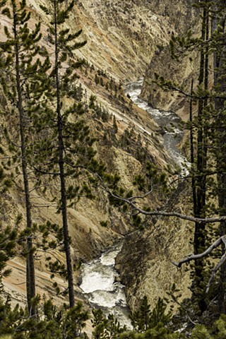 The Yellowstone