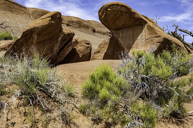 Wind Formed Shapes