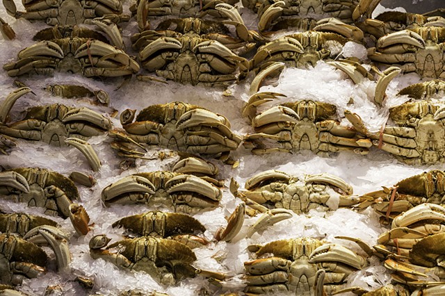 Crabular Array