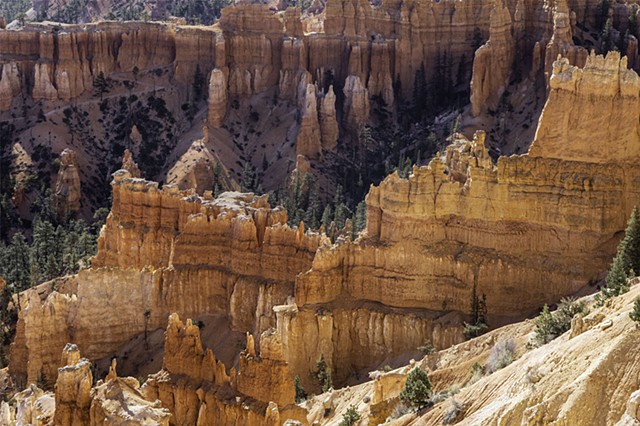 A Wall of HooDoos