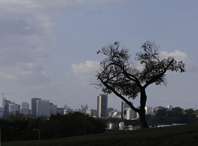 A Tree Grows in Richmond