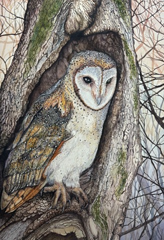 Original Watercolors