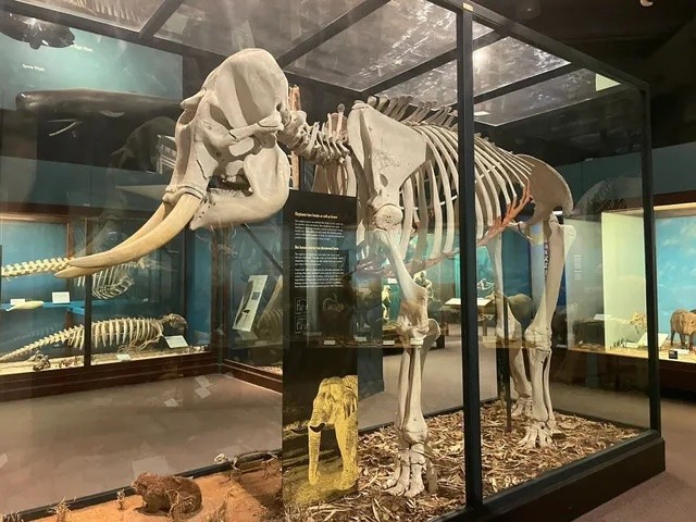 Portfolio Museum, Zoo, Aquarium
