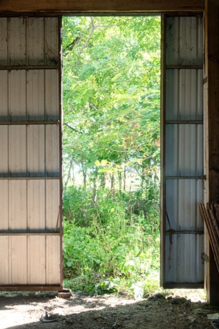 Echoes Through the Overgrowth