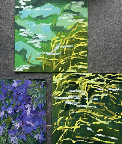 Water Study