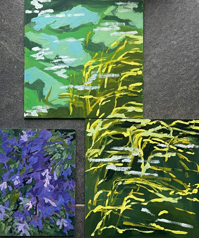 Water Study