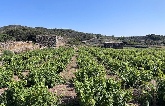 Pantelleria, Italy