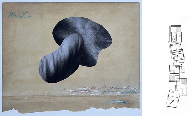Xavier Cambre