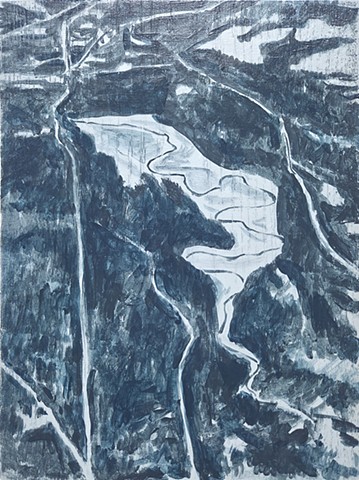 Aerial View: Study 2 for Brown Bridge Quiet Area