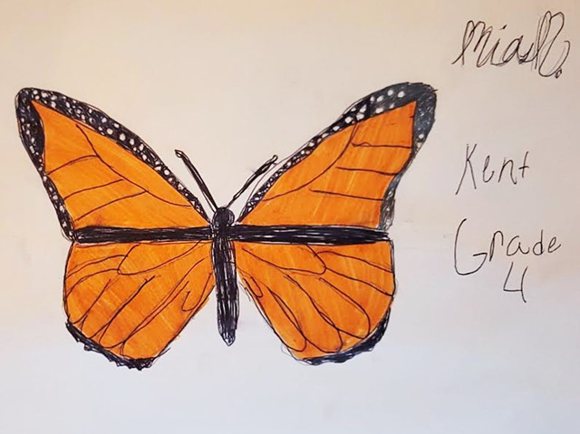 Alithia Ramirez, Alithia's Art Angels, art contest, children's art, monarch butterfly, child's drawing