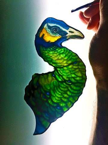 Javanese Peacock   (Work in progress)      