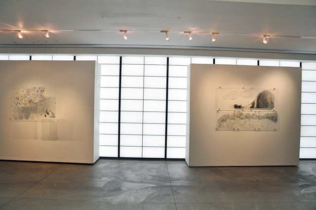 Fault Lines installation view 1
