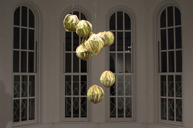 Pecan Pods