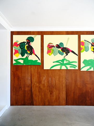 Installation Image