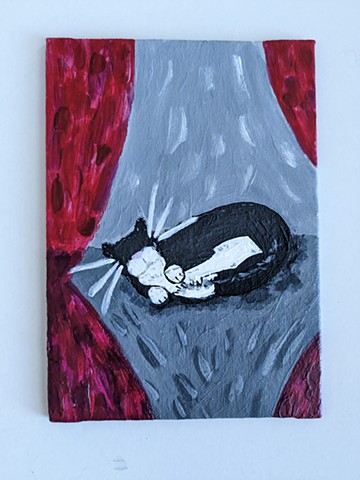 catnaps for all