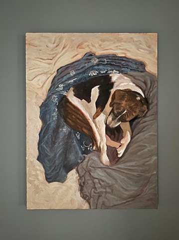 Dog and Blankets