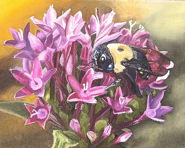 Lunch Time for the Bee