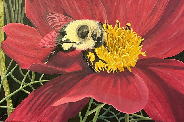Grace the Bee