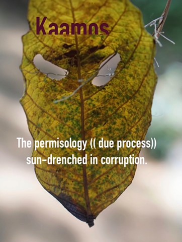 Kaamos ( the permisology) 