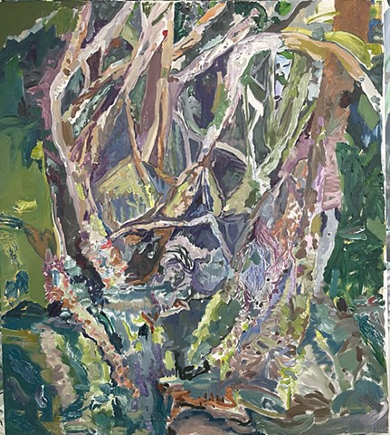 Red Mangrove (La Parguera)