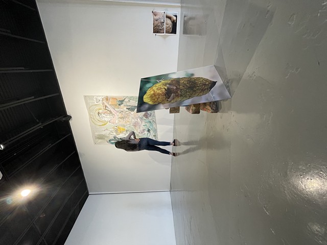 Installation view