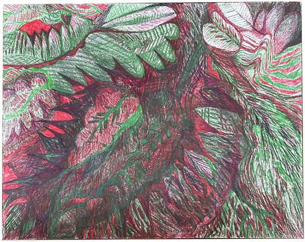 Undergrowth