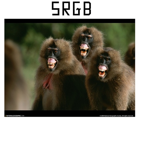 srgb pic