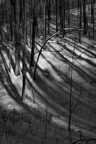 long tree shadows in late afternoon, Blue hills
