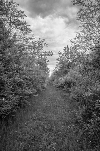 trail a day before mowing